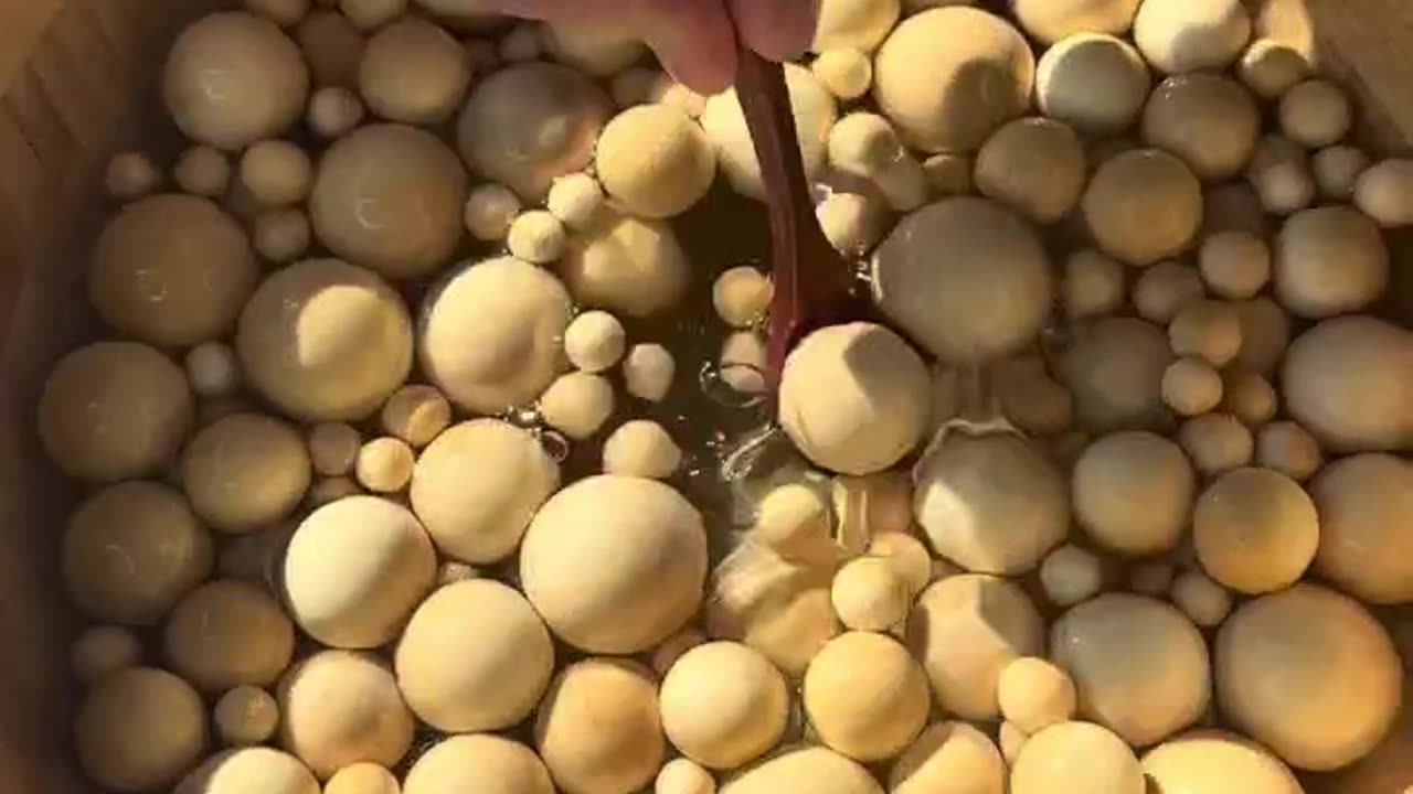 WOOD SOUP ASMR... 🪵