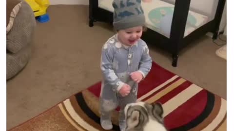 Cute baby video having good time with funny dog