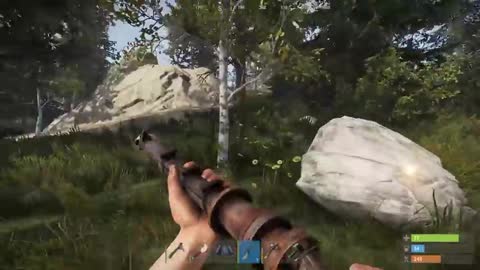 I met the only nice person in Rust