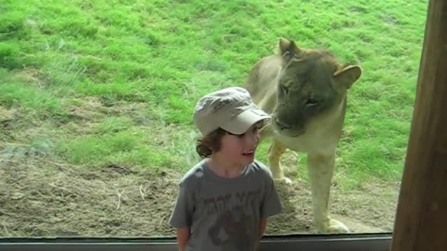 12 Crazy Real Life Jungle Book Moments