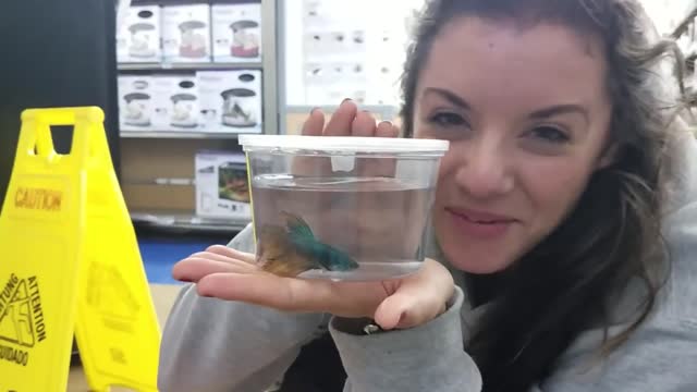 BETTA Fish SHOPPING for New AQUARIUM at PetCo!