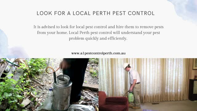 Tips You Can Follow To Find The Right Perth Pest Control