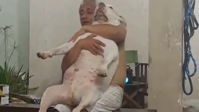 Old grandpa vibing with his dog