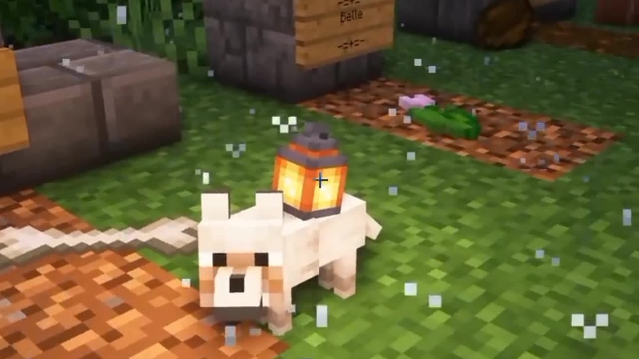 Minecraft a dog 🐕 and man 🙋 visited dog's garve part 1