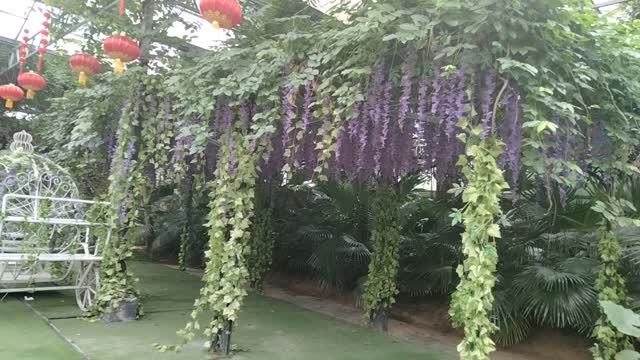 romantic lavender corridor