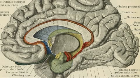 Boost your brain instantly: Art Appreciation