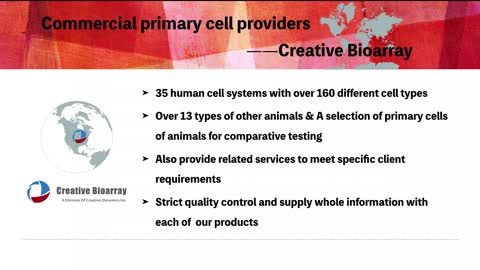 Creative bioarray - human