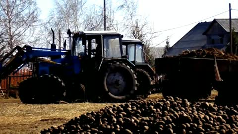 MTZ-82,MTZ-1221 Manure removal.