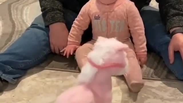 baby vs horse