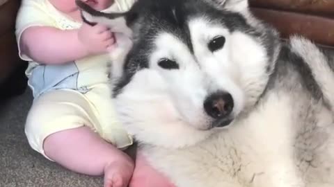 baby and dog