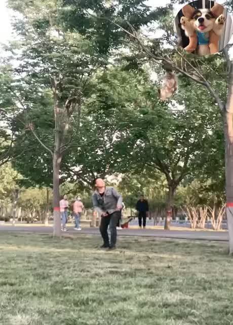 Omg amazing dog 😲