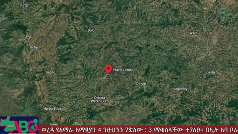 ጥቅምት 31፣ 2024 ONM-ABO እለታዊ የኦሮሞ ነፃነት ሰራዊትና የኦሮሚያ ውሎ!