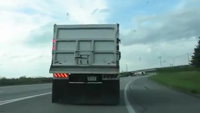 PETERBILT 379 | CAN'T FIGHT THAT BEAST