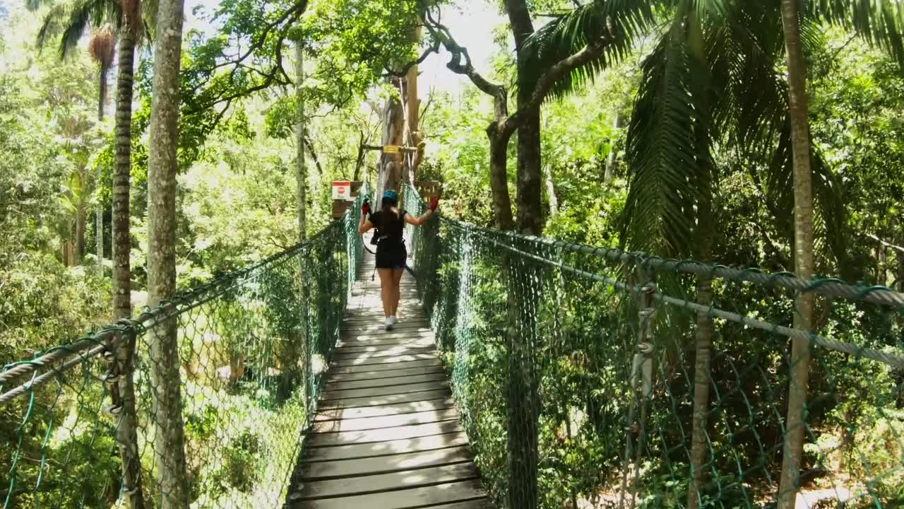 Thunderbird Park Tree Top Challenge