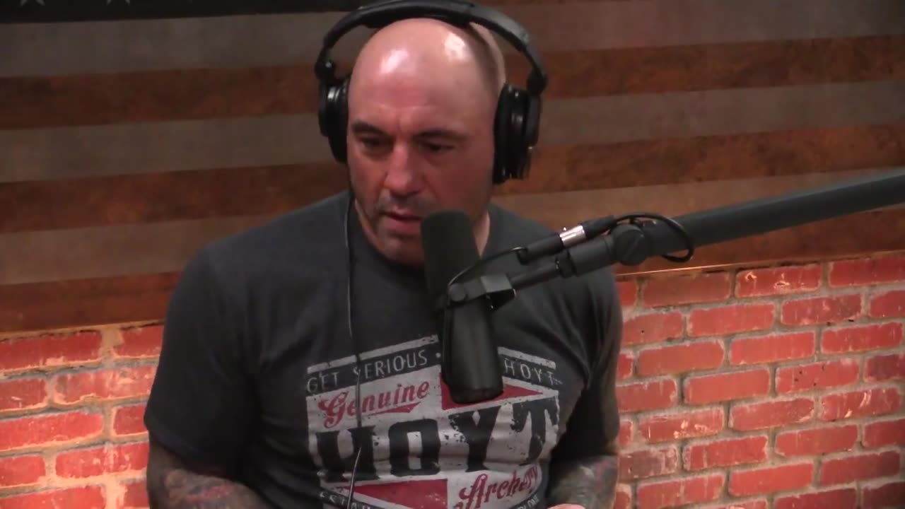 Joe Rogan Experience #1109 - Matthew Walker