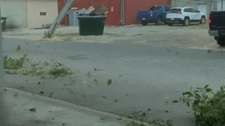 Tornado Takes Down Power LInes