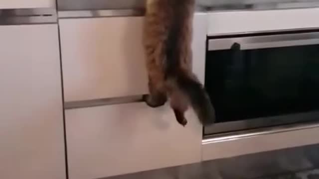 Keep your hands on me!