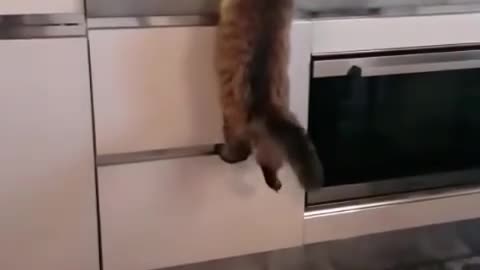 Keep your hands on me!