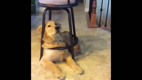 funny moments