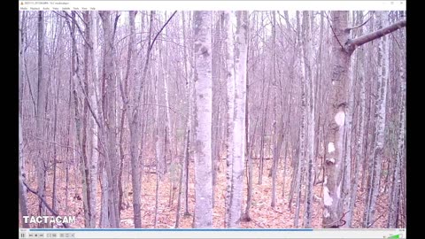 Layering for 32-40 Degrees w/Rain & Snow :: Saddle Hunting