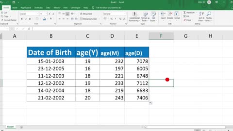 Age calculation without date of birth