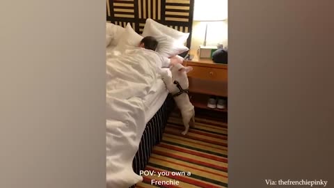 I WOULD DIE LAUGHING