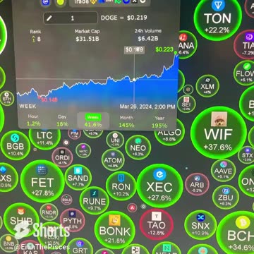 crypto dodge coin #fyp #shorts