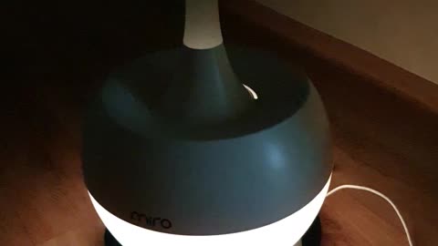 a humidifier with a brilliant light