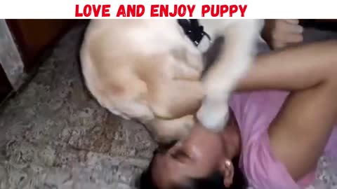 Loving Puppy kiss a Romantic girl