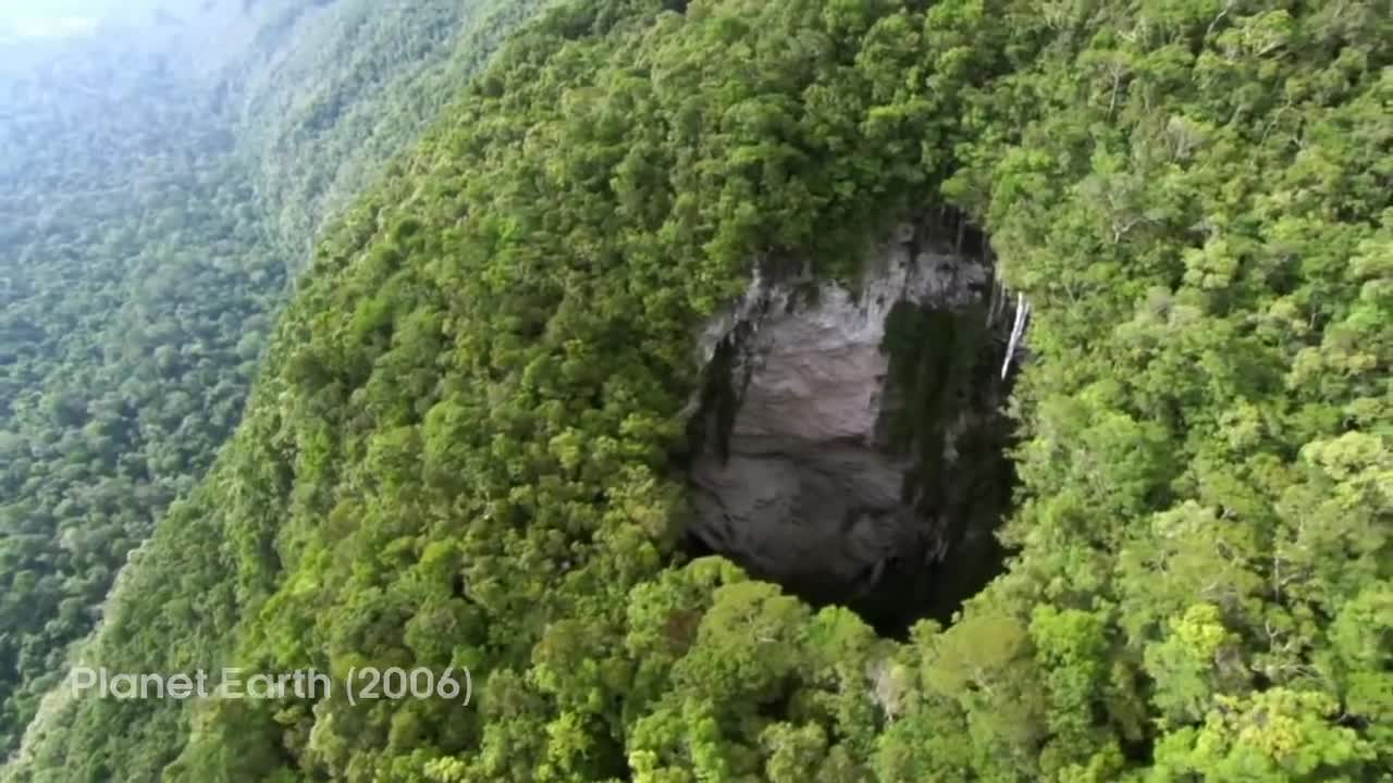 5 Animals You Didn't Know Existed | BBC Earth