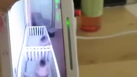 Twins Pretend To Sleep When Mum Speaks Through The Monitor