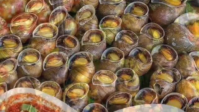 hot boiled snail dishes