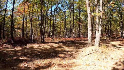 Hiking Lynchburg Virginia Liberty/Candlers Mountain Part 2