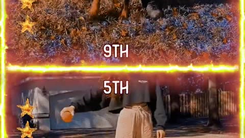 Rottweiler VS Doberman