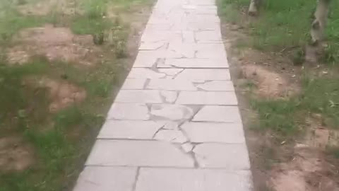 A country road has a feeling of peace