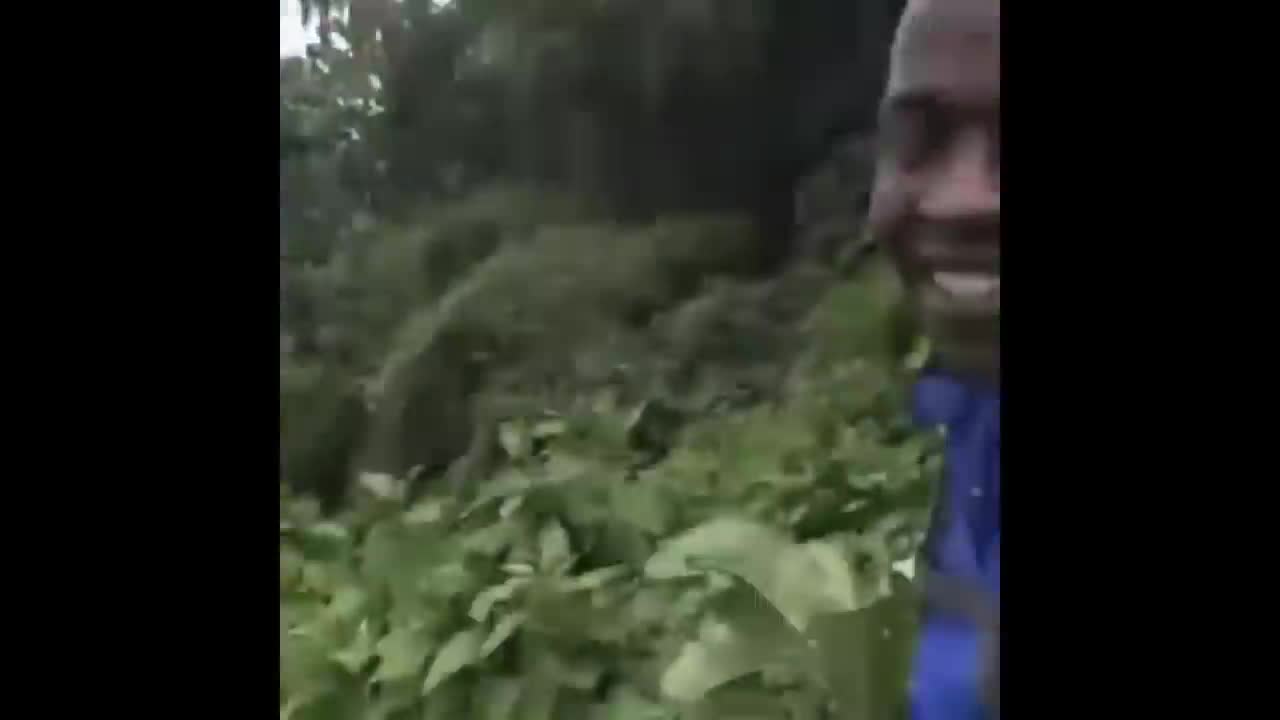 Try not to laugh🤣🤣