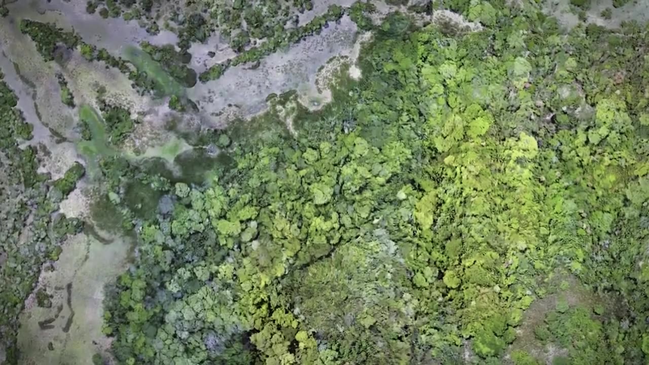 Graham Hancock and Joe Rogan The Amazon Was a City