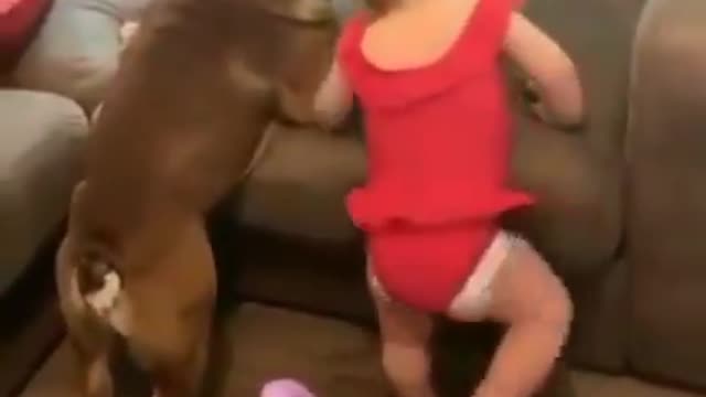 Amazing))they can't climb on the sofa in two)))