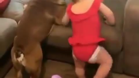 Amazing))they can't climb on the sofa in two)))