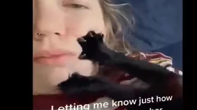 Funniest cats and dogs!!