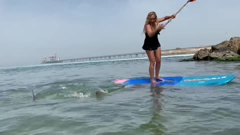 Woman falls into the sea with shark