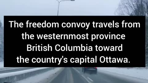 The Freedom Convoy 2022 In Canada Is The Largest Truck Convoy / *NEW TRENDING