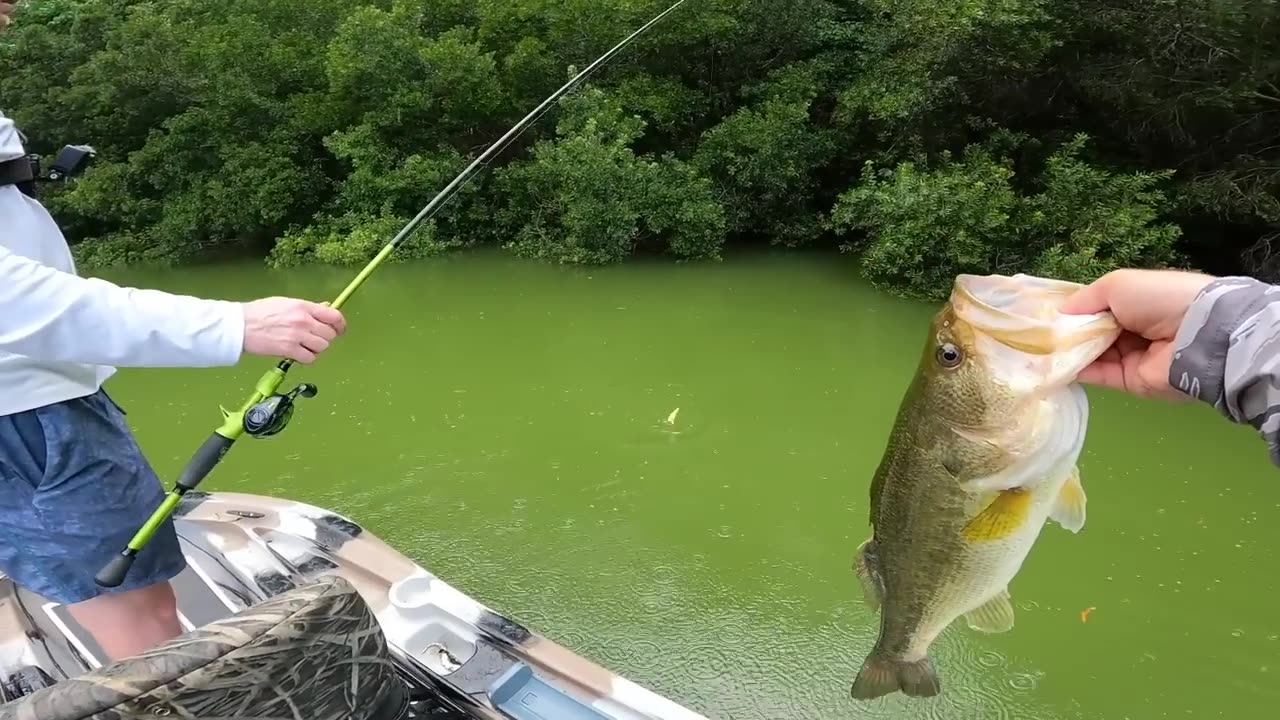 Fishing a Duck Lure for Pond Monsters