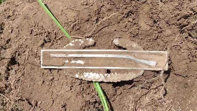 Guy Finds Silver War Metal with Metal Detector!