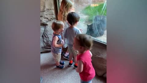 baby playing with shark