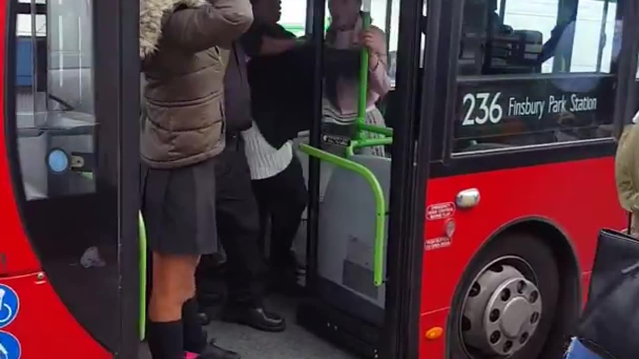 Girls fighting on the bus