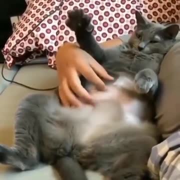 Just feel relaxing for a few seconds like this cutie