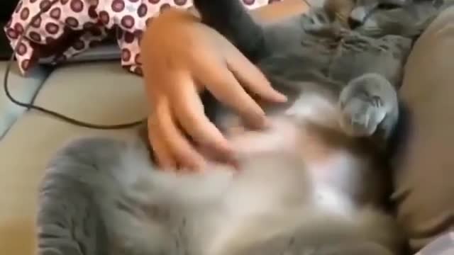Just feel relaxing for a few seconds like this cutie