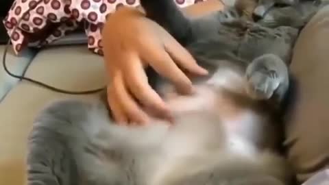 Just feel relaxing for a few seconds like this cutie