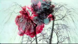 Shane Allen Dunn-The Death Shroud (Horror, Dark Ambient Music Video)